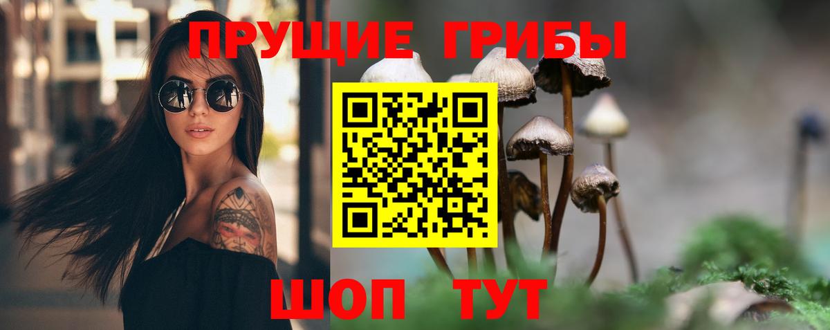 Казань  Галлюциногенные грибы прущие грибы  Вход с VPN 